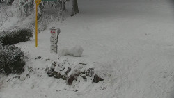 Běžecký lyžařský areál Nová Ves - horní část