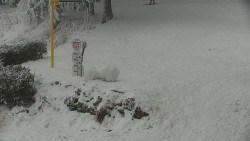 Běžecký lyžařský areál Nová Ves - horní část