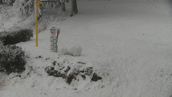 Běžecký lyžařský areál Nová Ves - horní část