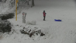 Běžecký lyžařský areál Nová Ves - horní část