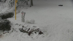 Běžecký lyžařský areál Nová Ves - horní část