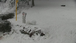 Běžecký lyžařský areál Nová Ves - horní část