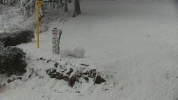 Běžecký lyžařský areál Nová Ves - horní část