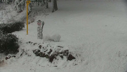 Běžecký lyžařský areál Nová Ves - horní část