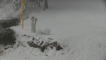 Chata Myslivna SKP Olomouc