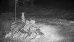 Běžecký lyžařský areál Nová Ves - horní část