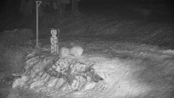 Běžecký lyžařský areál Nová Ves - horní část