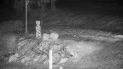 Běžecký lyžařský areál Nová Ves - horní část