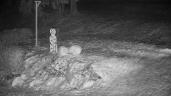 Běžecký lyžařský areál Nová Ves - horní část