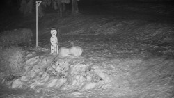 Běžecký lyžařský areál Nová Ves - horní část