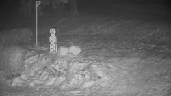 Běžecký lyžařský areál Nová Ves - horní část