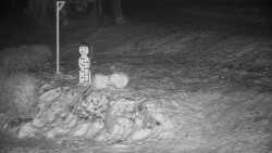 Běžecký lyžařský areál Nová Ves - horní část