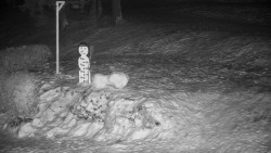 Běžecký lyžařský areál Nová Ves - horní část