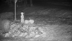 Běžecký lyžařský areál Nová Ves - horní část