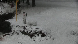 Běžecký lyžařský areál Nová Ves - horní část