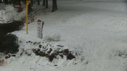 Běžecký lyžařský areál Nová Ves - horní část