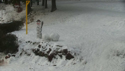 Běžecký lyžařský areál Nová Ves - horní část