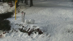 Běžecký lyžařský areál Nová Ves - horní část