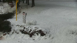Běžecký lyžařský areál Nová Ves - horní část
