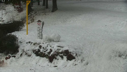 Běžecký lyžařský areál Nová Ves - horní část