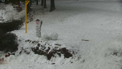 Běžecký lyžařský areál Nová Ves - horní část