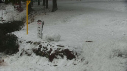 Běžecký lyžařský areál Nová Ves - horní část