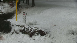 Běžecký lyžařský areál Nová Ves - horní část