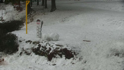 Běžecký lyžařský areál Nová Ves - horní část