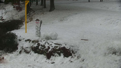 Běžecký lyžařský areál Nová Ves - horní část