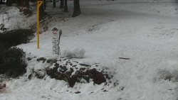 Běžecký lyžařský areál Nová Ves - horní část