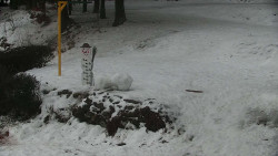 Běžecký lyžařský areál Nová Ves - horní část