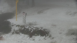 Běžecký lyžařský areál Nová Ves - horní část