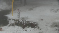 Běžecký lyžařský areál Nová Ves - horní část