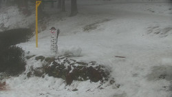 Běžecký lyžařský areál Nová Ves - horní část