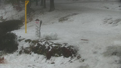 Běžecký lyžařský areál Nová Ves - horní část