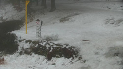 Běžecký lyžařský areál Nová Ves - horní část