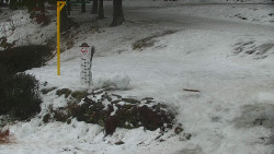 Běžecký lyžařský areál Nová Ves - horní část