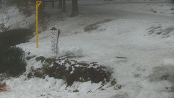 Běžecký lyžařský areál Nová Ves - horní část