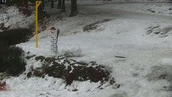 Běžecký lyžařský areál Nová Ves - horní část