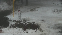 Běžecký lyžařský areál Nová Ves - horní část