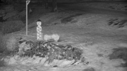 Běžecký lyžařský areál Nová Ves - horní část