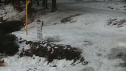 Běžecký lyžařský areál Nová Ves - horní část