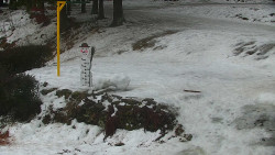 Běžecký lyžařský areál Nová Ves - horní část