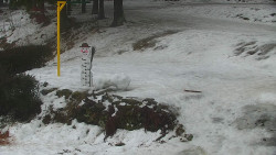 Běžecký lyžařský areál Nová Ves - horní část