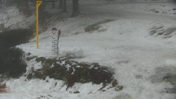 Běžecký lyžařský areál Nová Ves - horní část