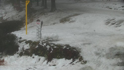 Běžecký lyžařský areál Nová Ves - horní část