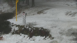 Běžecký lyžařský areál Nová Ves - horní část