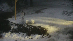 Běžecký lyžařský areál Nová Ves - horní část