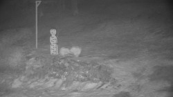 Běžecký lyžařský areál Nová Ves - horní část