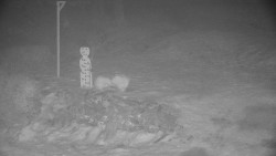 Běžecký lyžařský areál Nová Ves - horní část